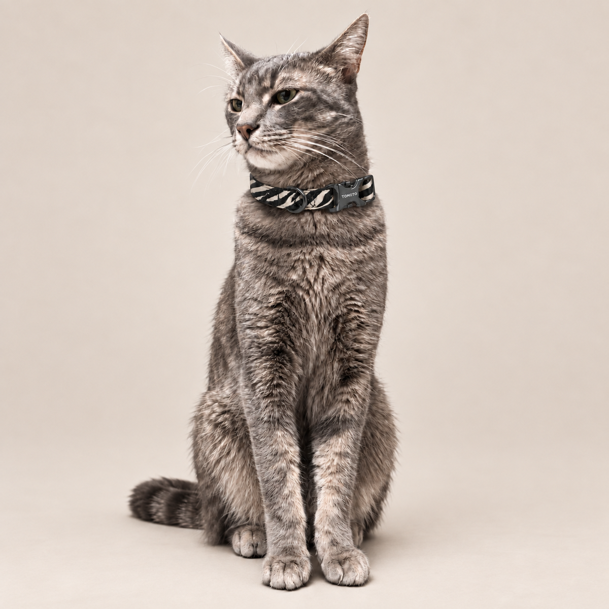 TONOTO ブラック＆ホワイトのゼブラ柄首輪を着用した猫
