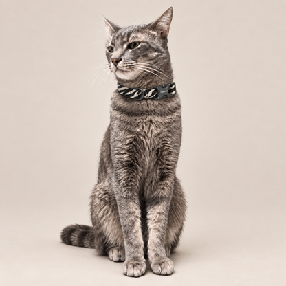 TONOTO ブラック＆ホワイトのゼブラ柄首輪を着用した猫