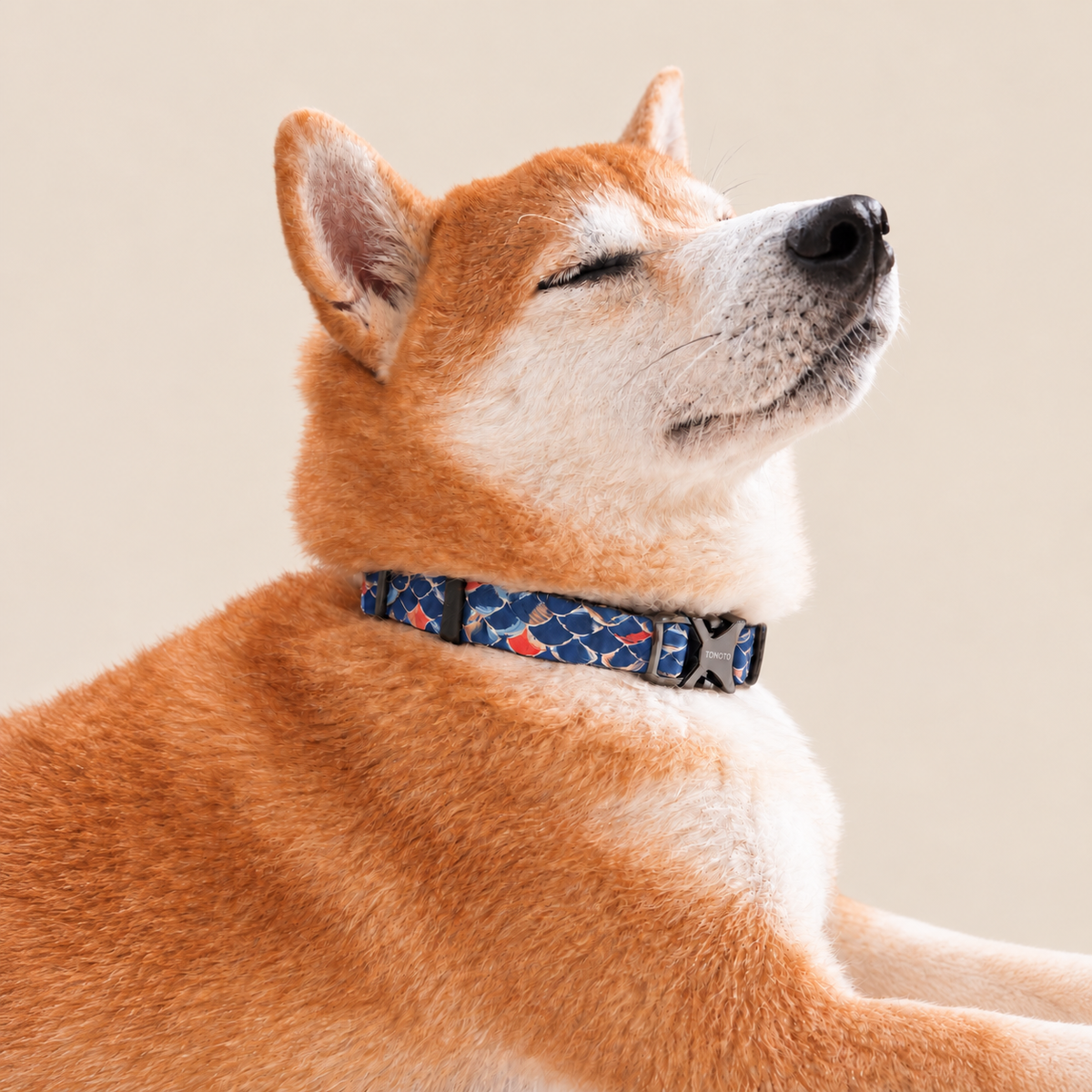 TONOTO 犬用首輪 錦鯉柄 高密度ポリエステル サイズ調整可能 Sサイズ Mサイズ