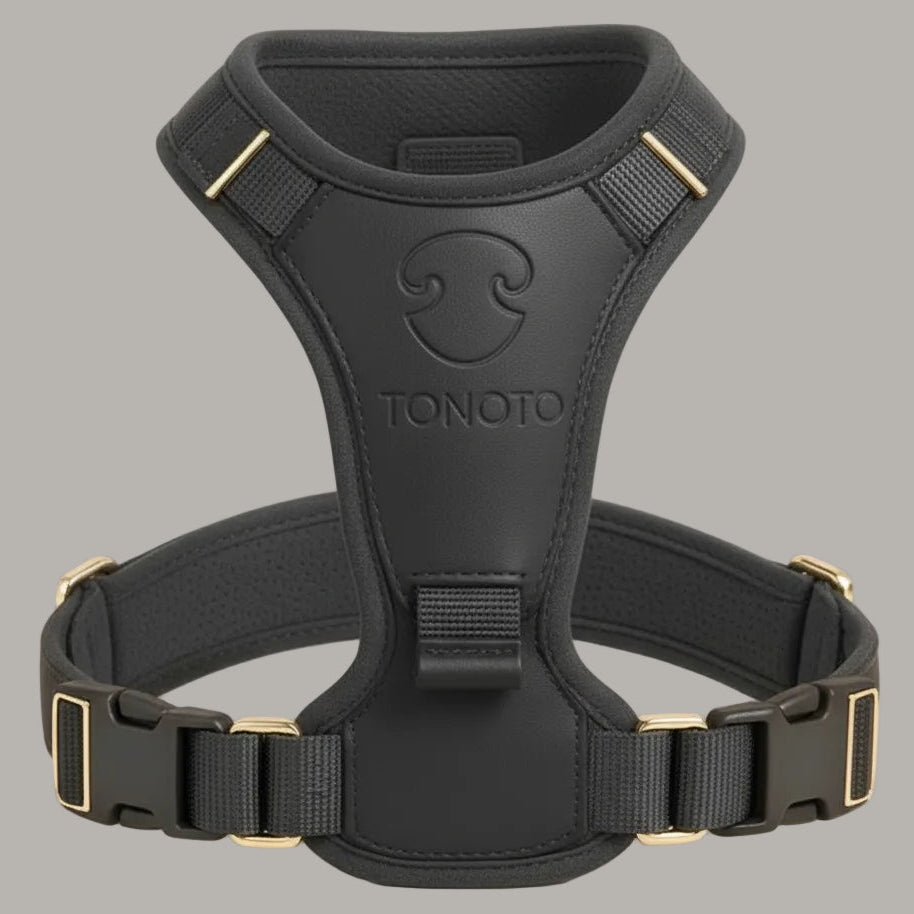 TONOTO フォームハーネス チャコール